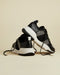 WEVERDS - Ted Baker Outlet Sneakers
